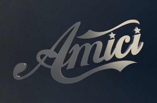 Amici 2013