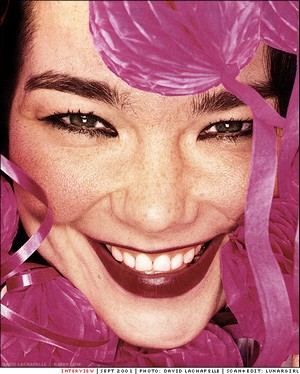 Bjork - © David Lachapelle - from bjork.com