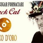 Zucchero