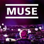 Muse