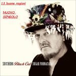 ZUCCHERO- 13 buoni ragioni