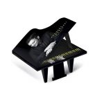 Gualazzi pianoforte 3d