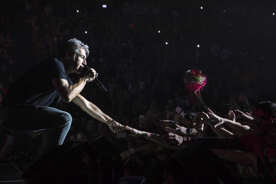 Luciano Ligabue palasport tour 2017