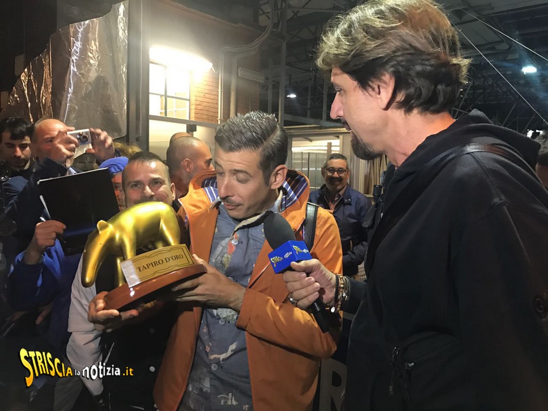 IL TAPIRO A GABBANI